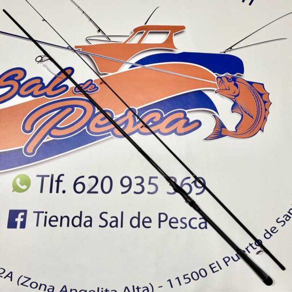 CAÑA DE SPINNING DAIWA RX 14-56GR. 3.00MT. HX HFS AF