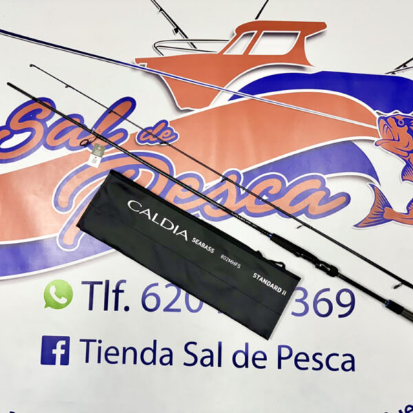 CAÑA DE SPINNING DAIWA CALDIA SEABASS 2,44MT. 7-28GR.