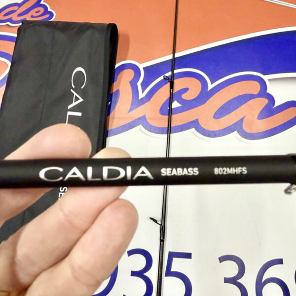 CAÑA DE SPINNING DAIWA CALDIA SEABASS 2,44MT. 7-28GR. - Imagen 6