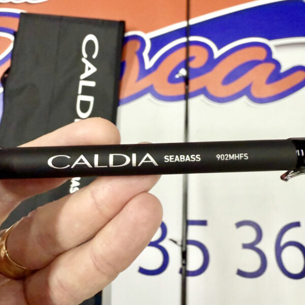 CAÑA DE SPINNING DAIWA CALDIA SEABASS 2,74MT. 7-28GR. - Imagen 6