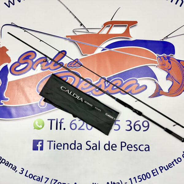 CAÑA DE SPINNING DAIWA CALDIA SEABASS 2,74MT. 14-42GR.