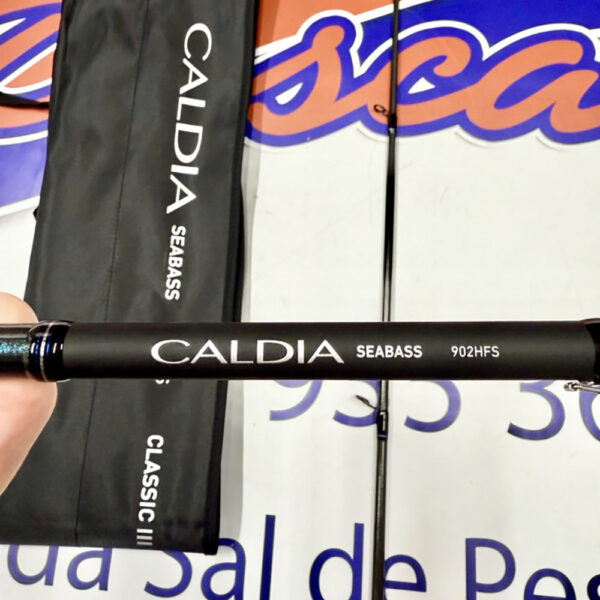 CAÑA DE SPINNING DAIWA CALDIA SEABASS 2,74MT. 14-42GR. - Imagen 9