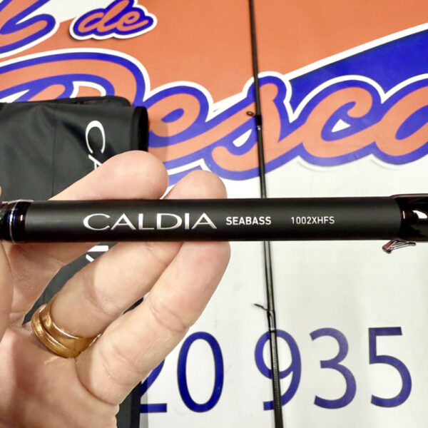 CAÑA DE SPINNING DAIWA CALDIA SEABASS 3.05MT. 28-84GR. - Imagen 9