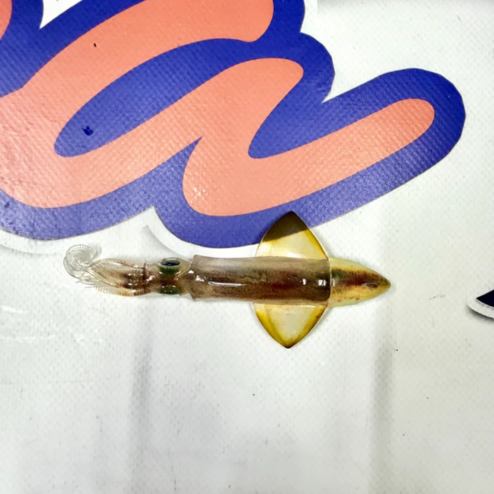 MUESTRA VINILO JIGGING XIPI EVO JLC COLOR RBW 25GR. - Imagen 3