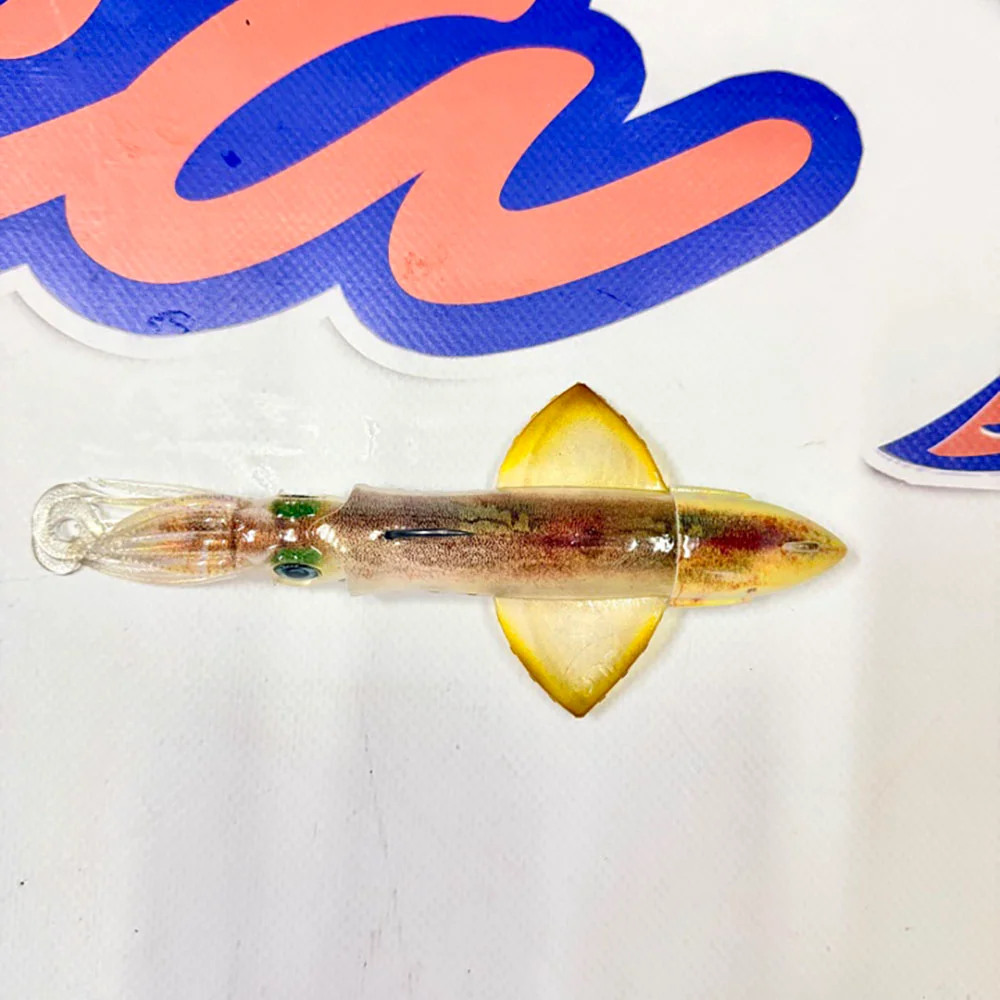 MUESTRA VINILO JIGGING XIPI EVO JLC COLOR RBW 90GR. - Imagen 3